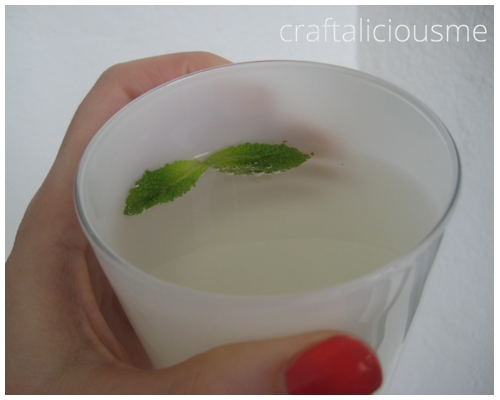 p45_mint sirup_b2