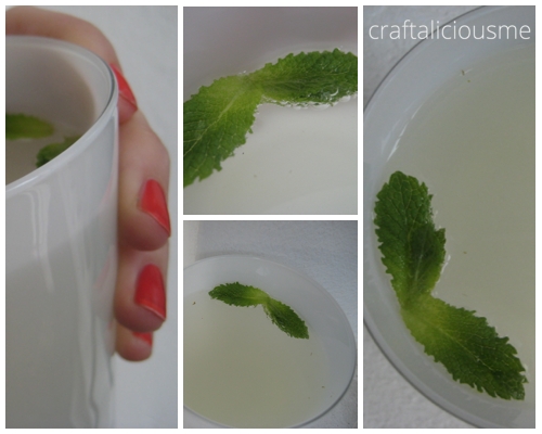 mint sirup | Minz Sirup