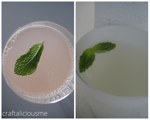 rhabarer sirup | mint sirup by craftaliciousme
