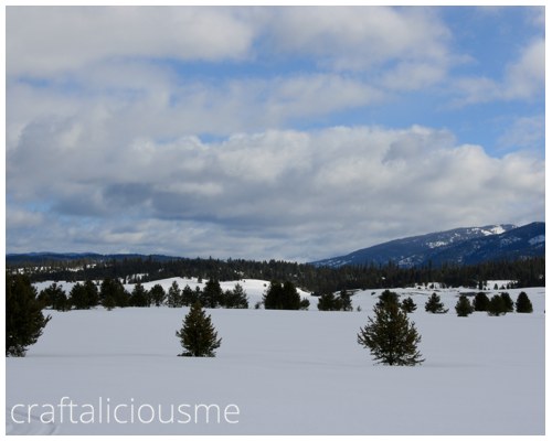 winter country