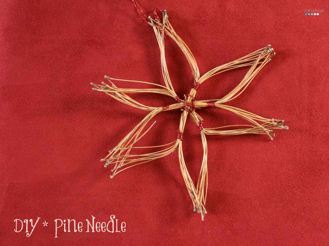 Pine Needle Star
