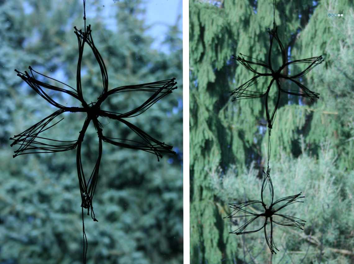 star of pine needles