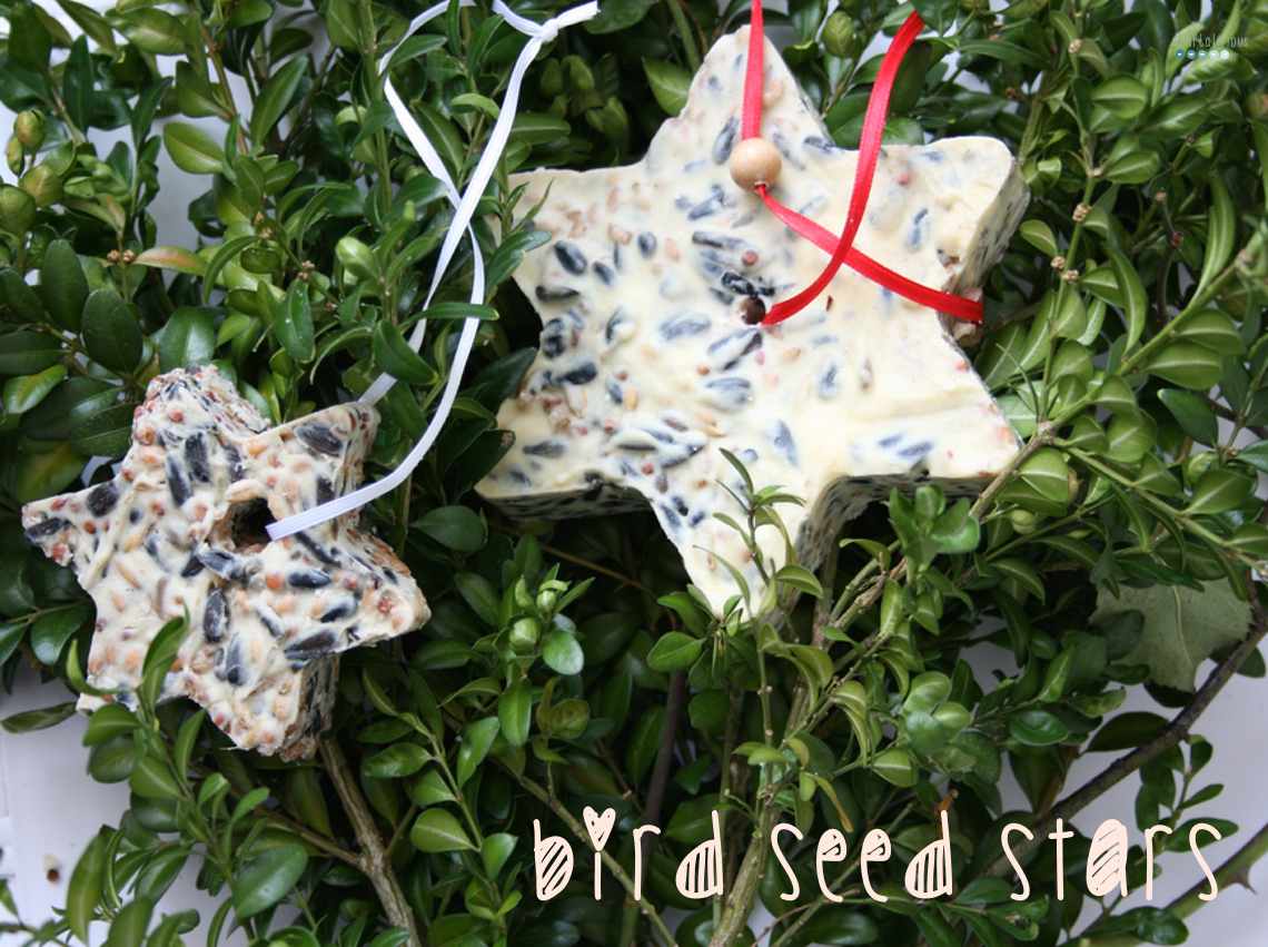 bird seed star