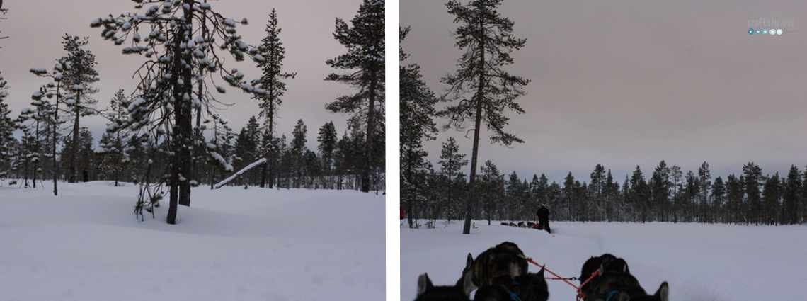 landscape husky ride