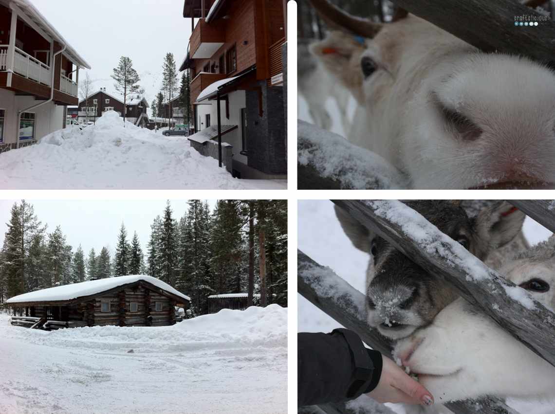walk around levi finland