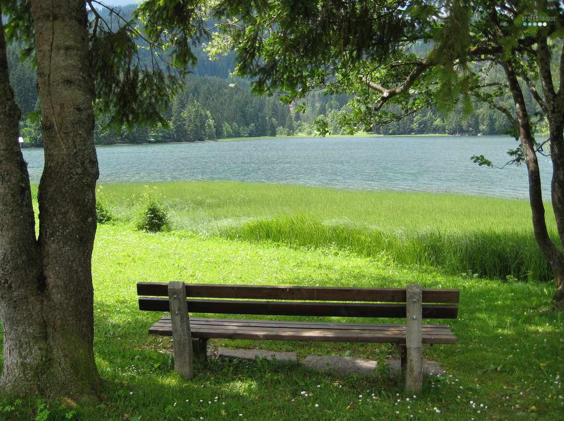 happiness at the lake Spitzingsee