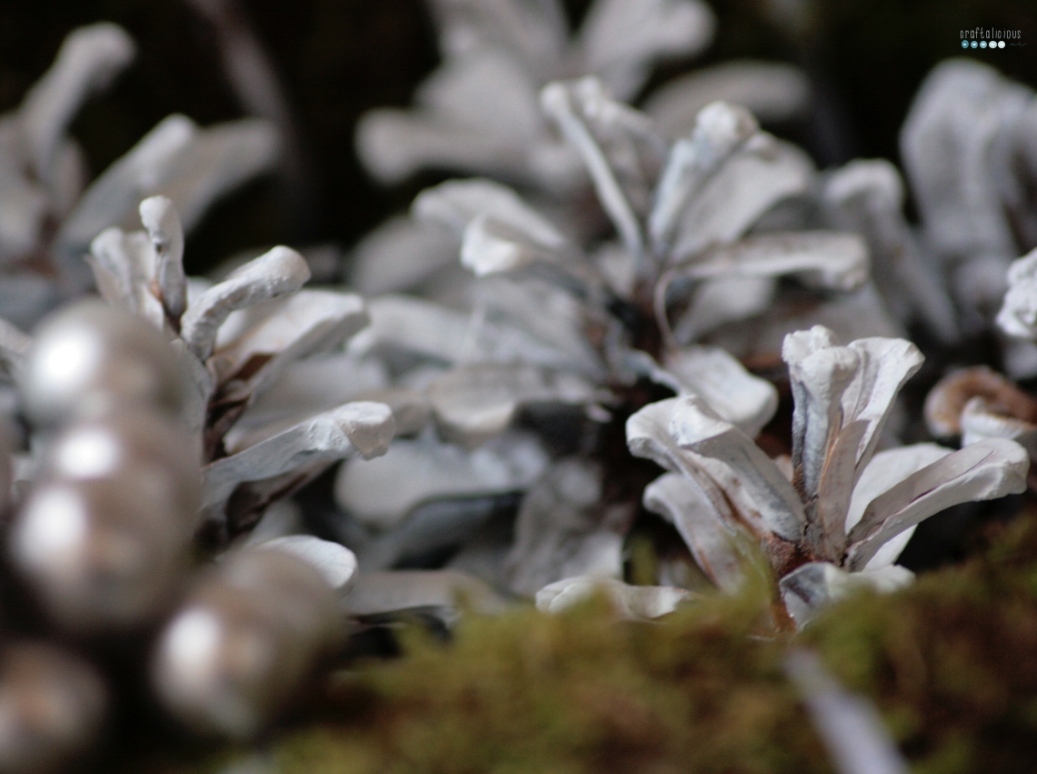 Advent wreath decoration white green moss