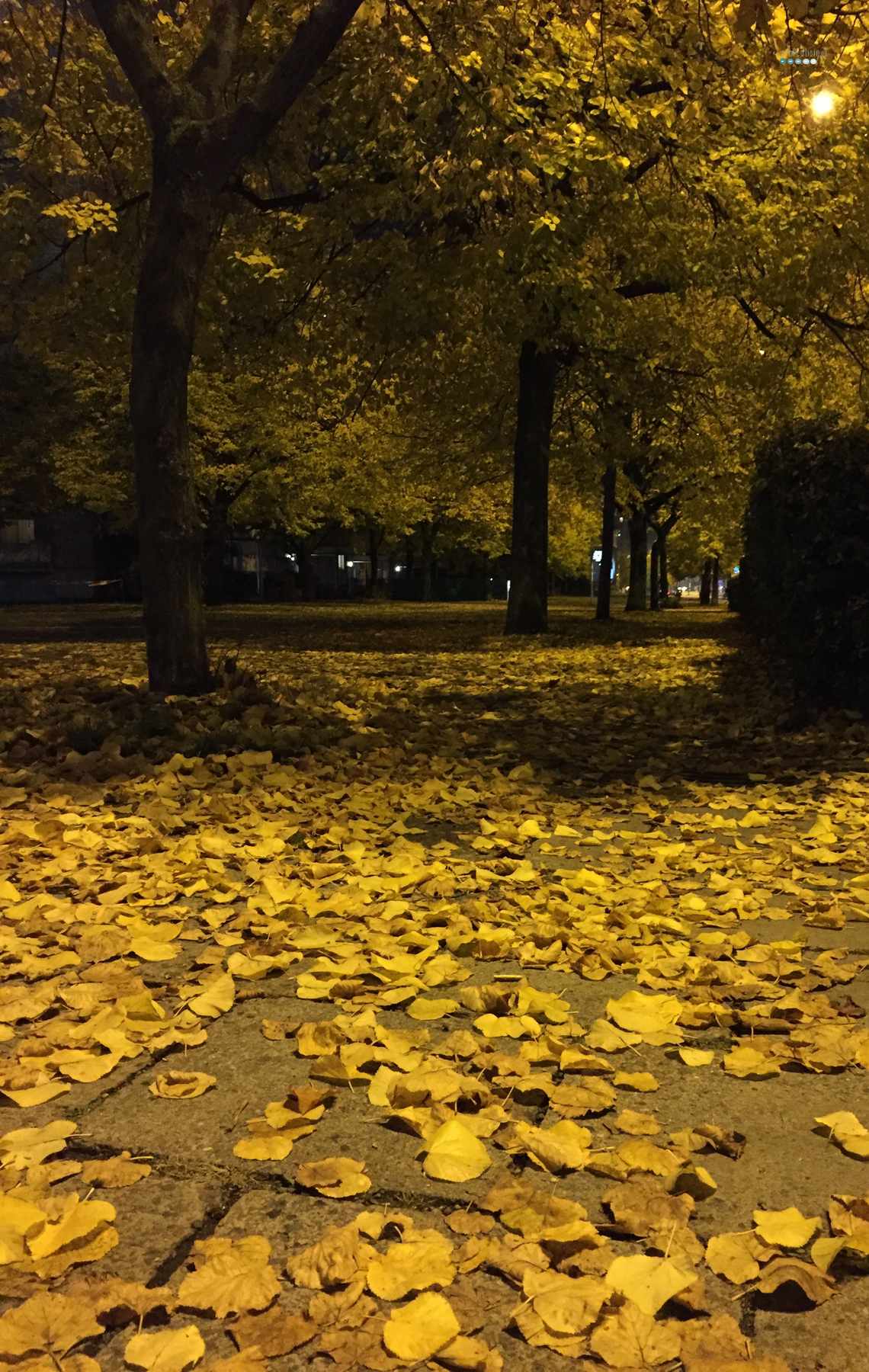 Fall in Berlin