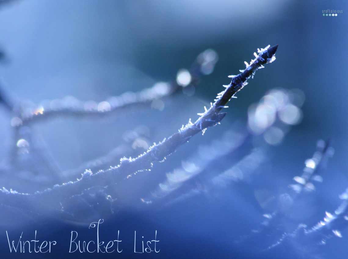 winter bucket list