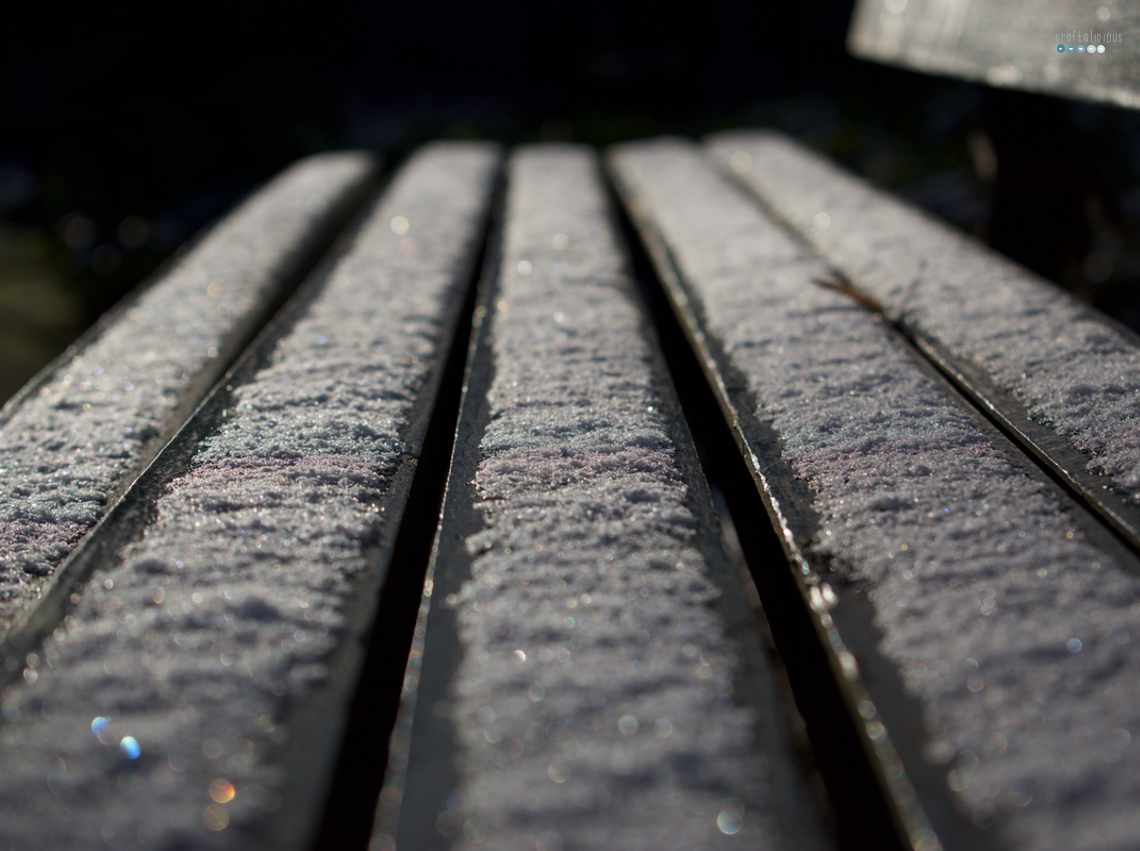 Snowy Bench