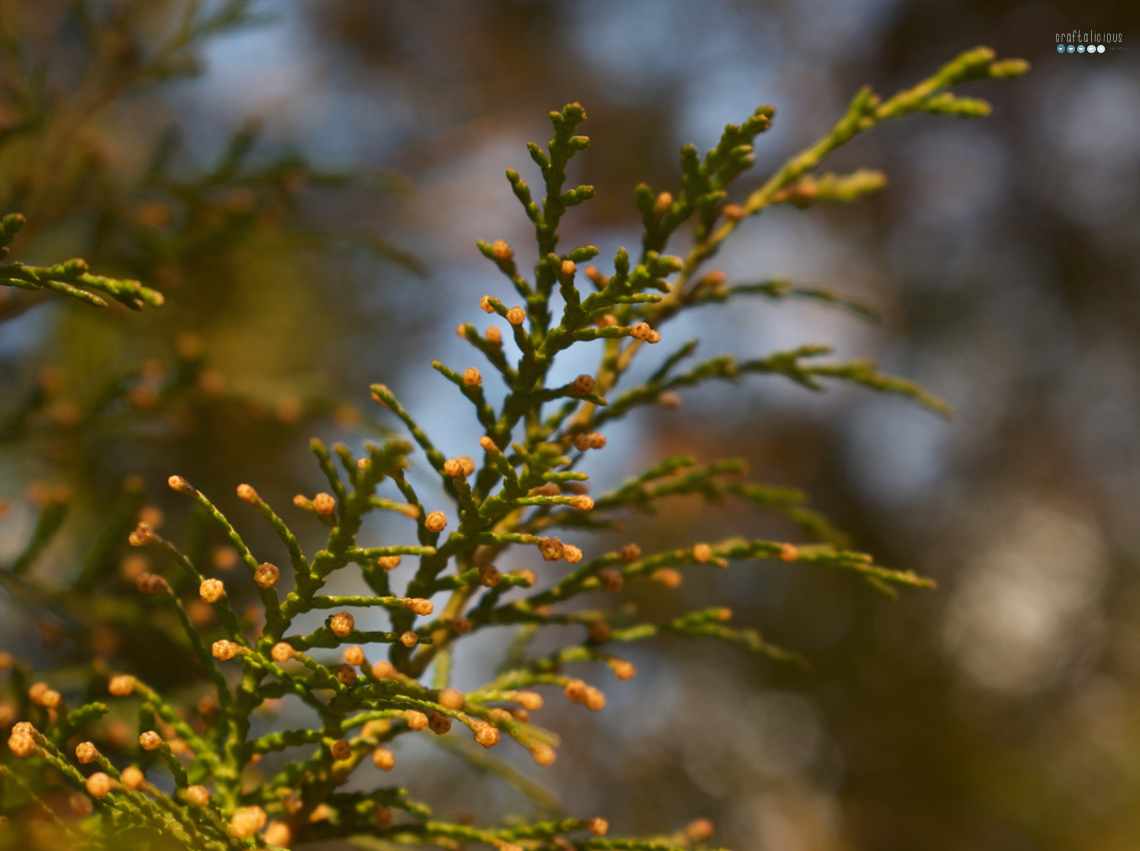 greenery