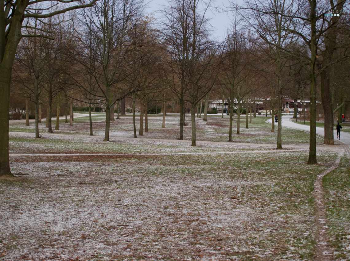 park life january