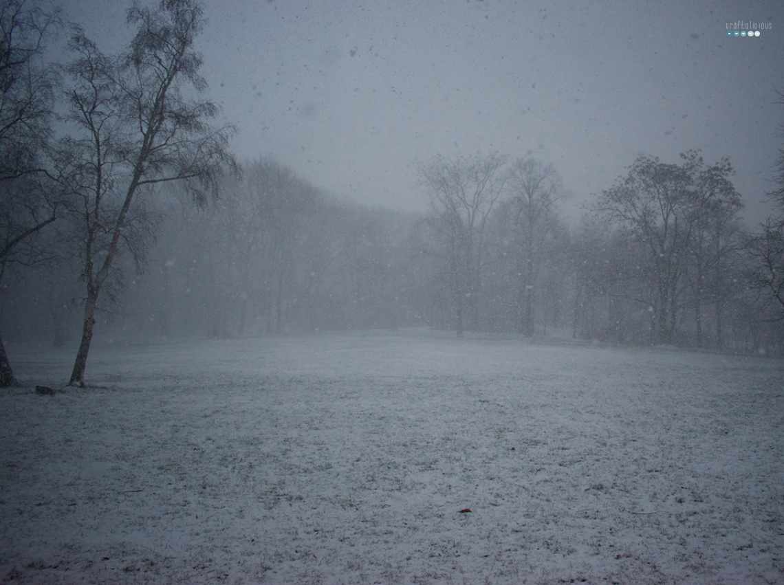 park life january
