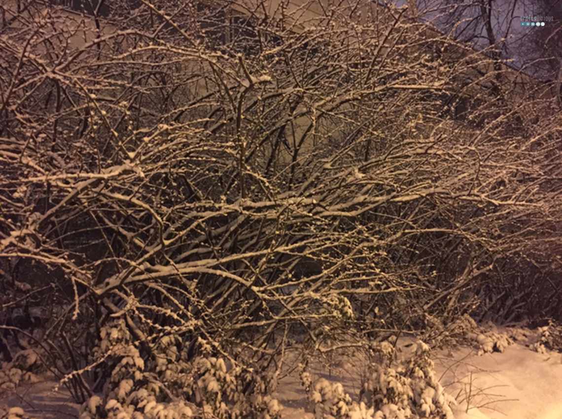 winter in Berlin