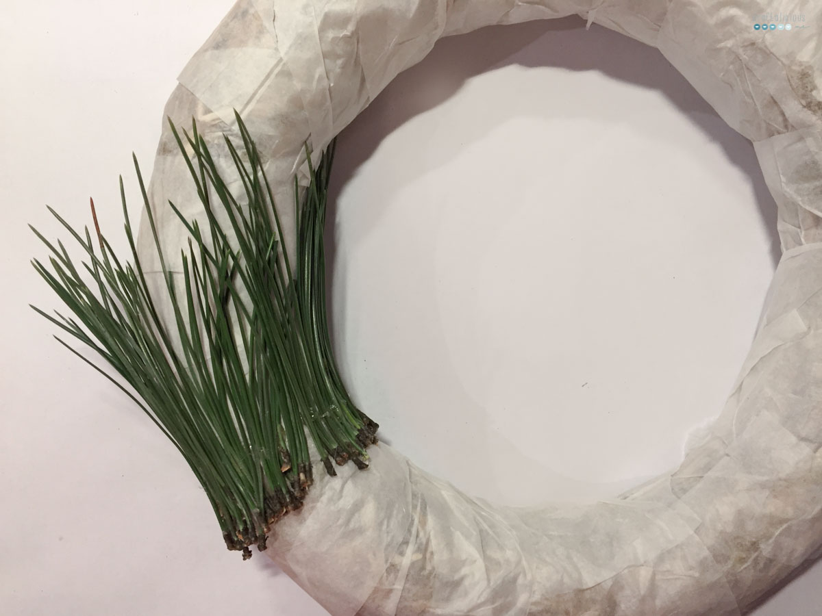 pine needle wreath | nadel adventskranz