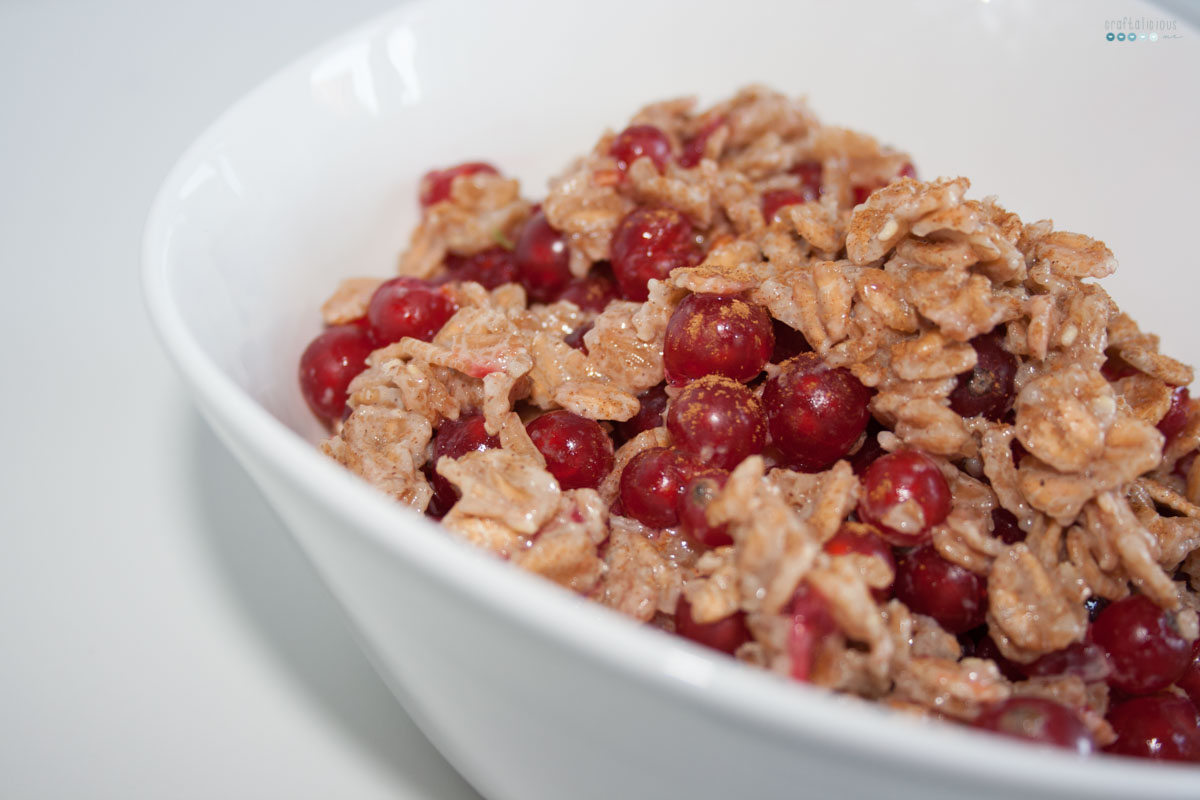 Fruity Warm Breakfast Oats red current