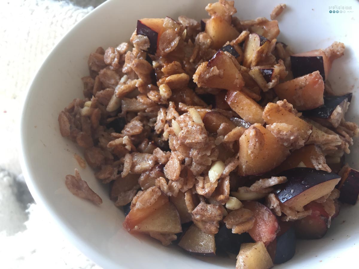 Fruity Warm Breakfast Oats plums