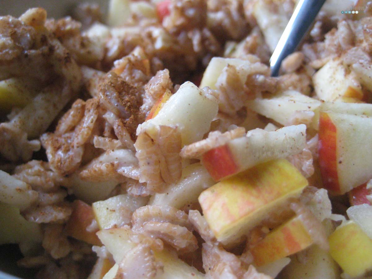 Fruity Warm Breakfast Oats apple