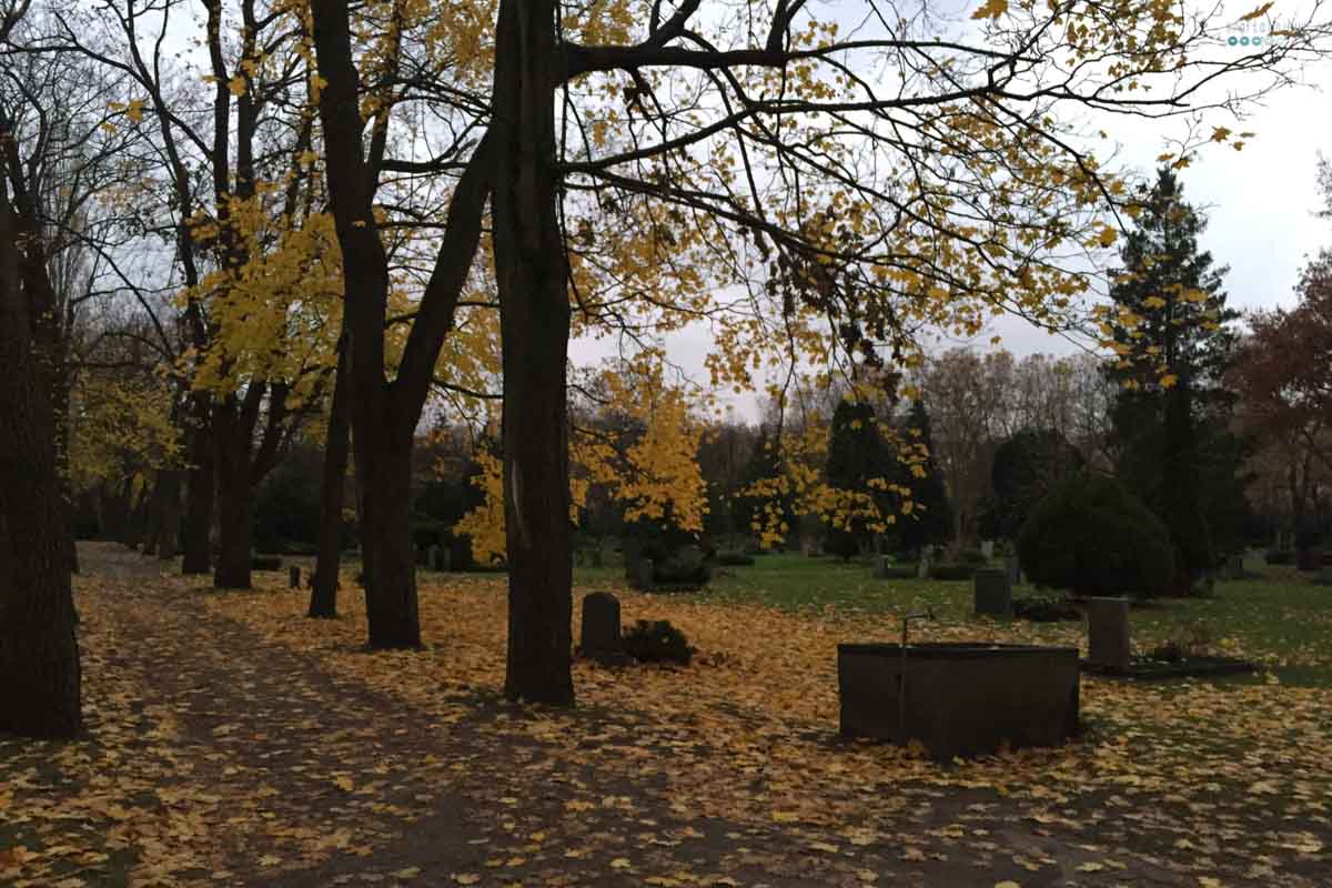 creative fall walk cemetary