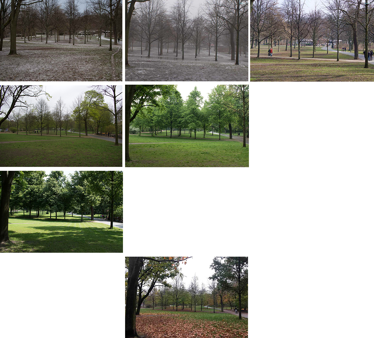 parklife photo project trees Volkspark Friedrichshain