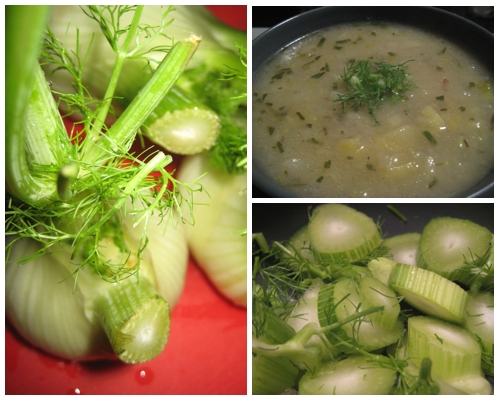 p16_soupsunday_VI_fenchelsuppe_b2