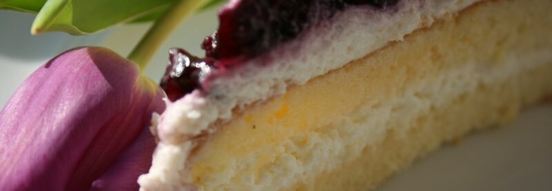 blueberry cream cheese cake
