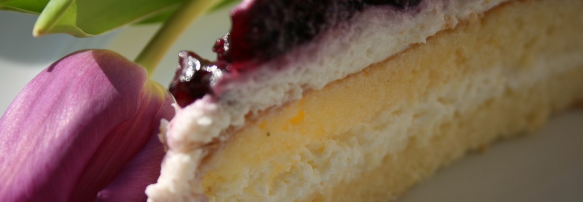 blueberry cream cheese cake