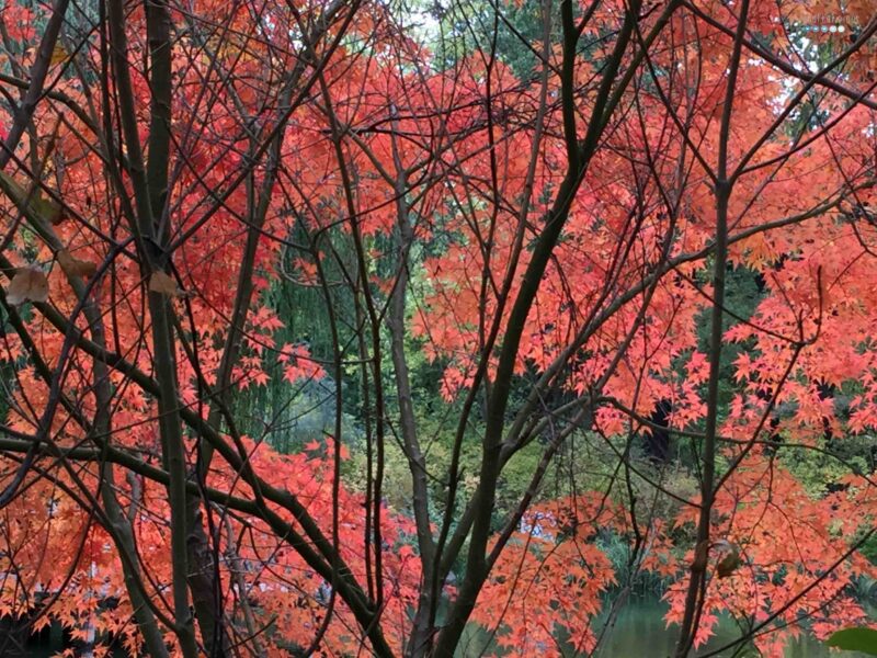 fall bucket list 2018