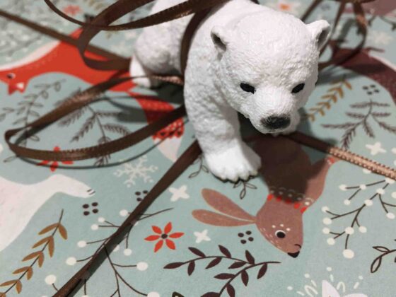 Christmas in a Shoebox giving back