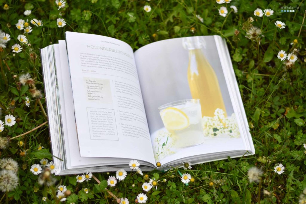 Gathering herbs and wild remedies Holundersirup