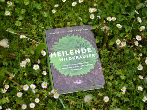 Gathering herbs and wild remedies cover Heilende Wildkräuter Rosalee de la Foret Emily Han