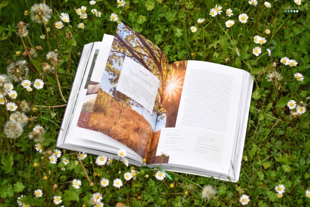 Gathering herbs and wild remedies season Wilde Heilkräuter Narayana Verlag