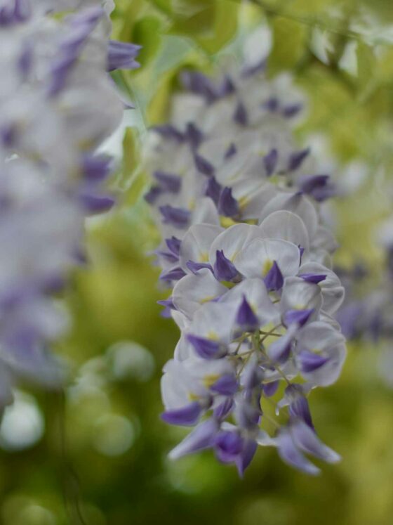 currently in June at the moment craftaliciousme seeking creative life