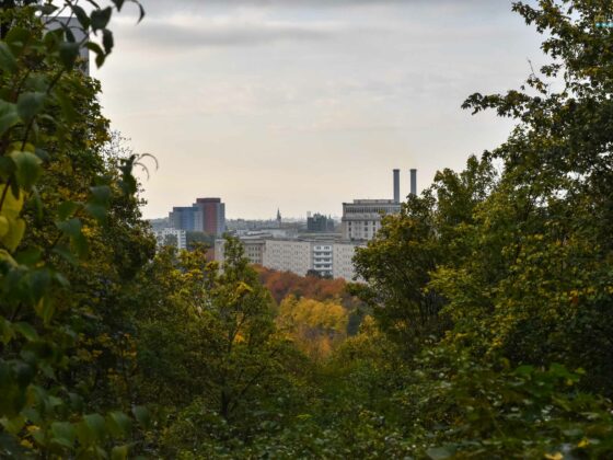 change and moving forward skyline over Berlin with fall foliage