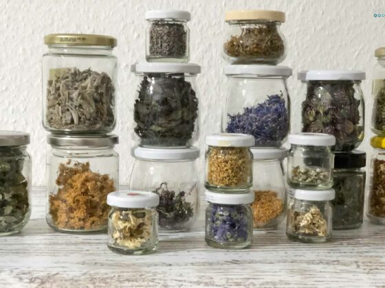 homemade tea blends herbs in glasses