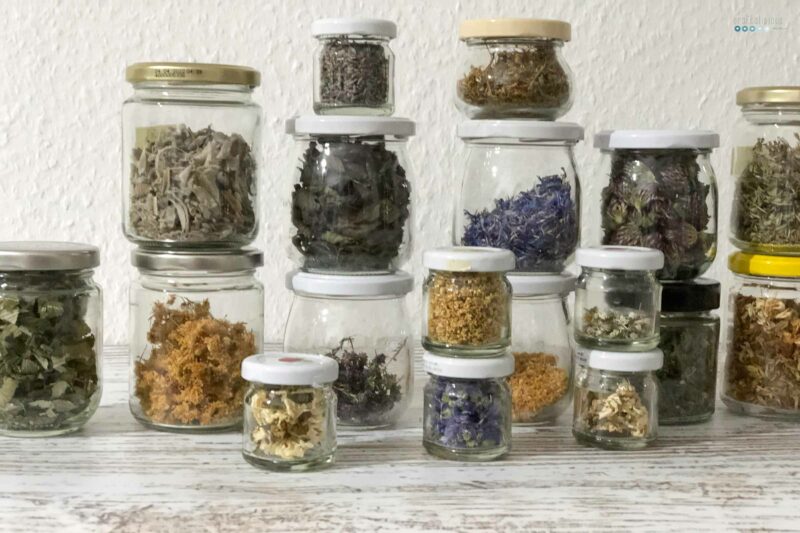 homemade tea blends herbs in glasses