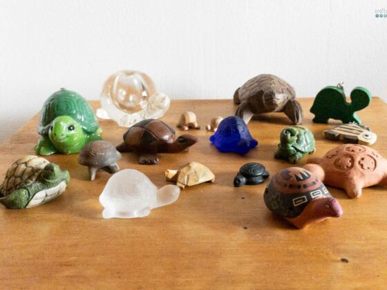goodbye things tortoise collection
