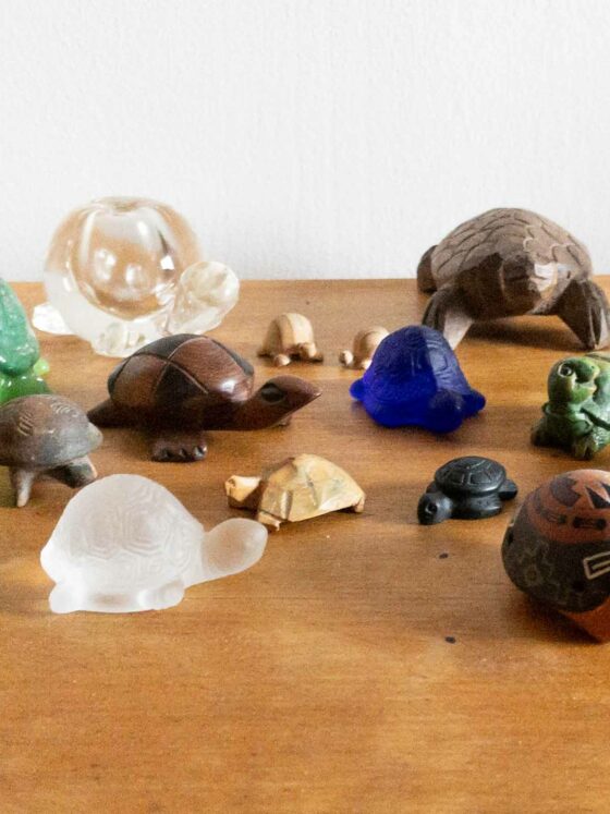 goodbye things tortoise collection