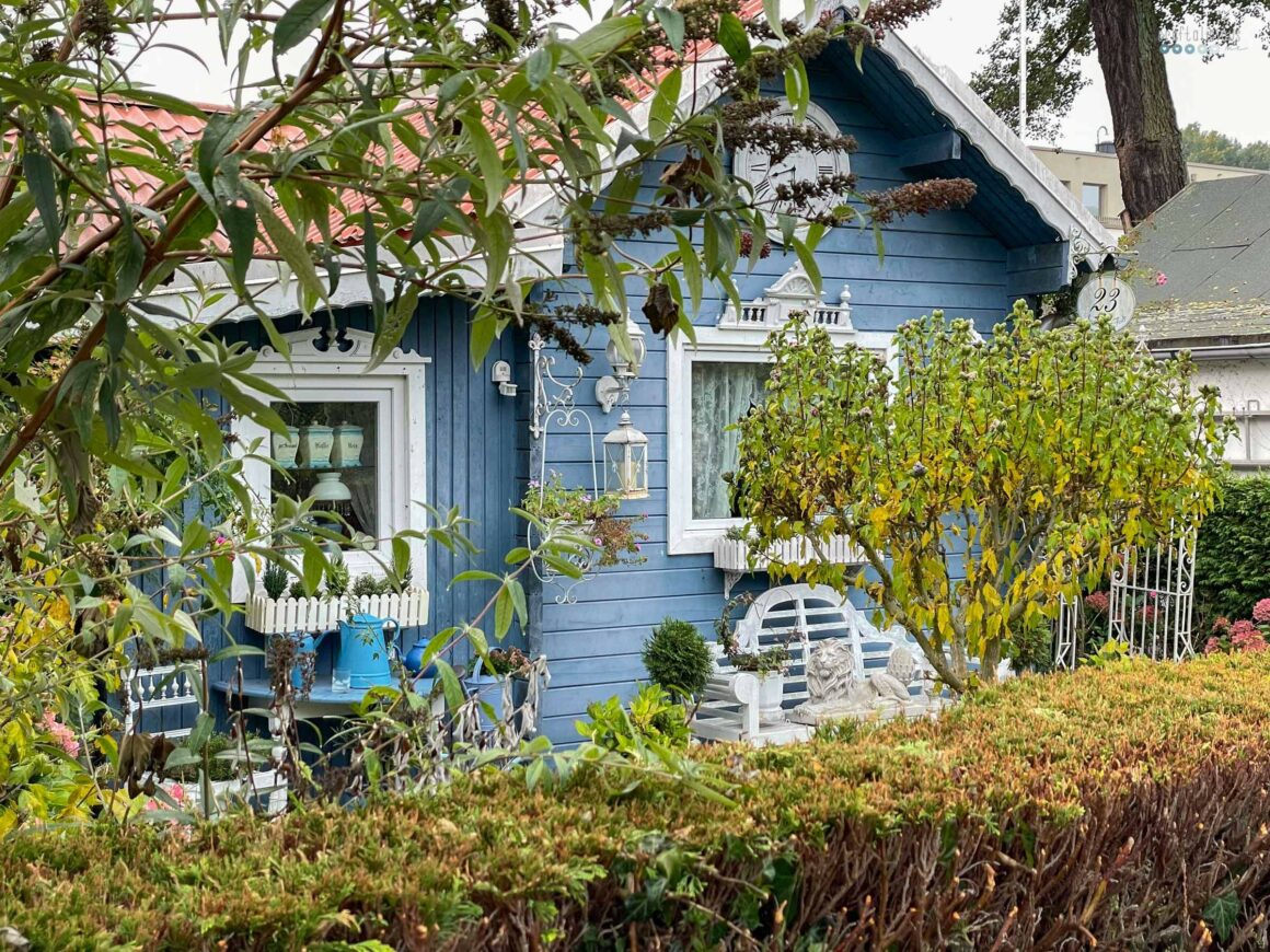 stroll through the neighborhood catching fall vibes blue house