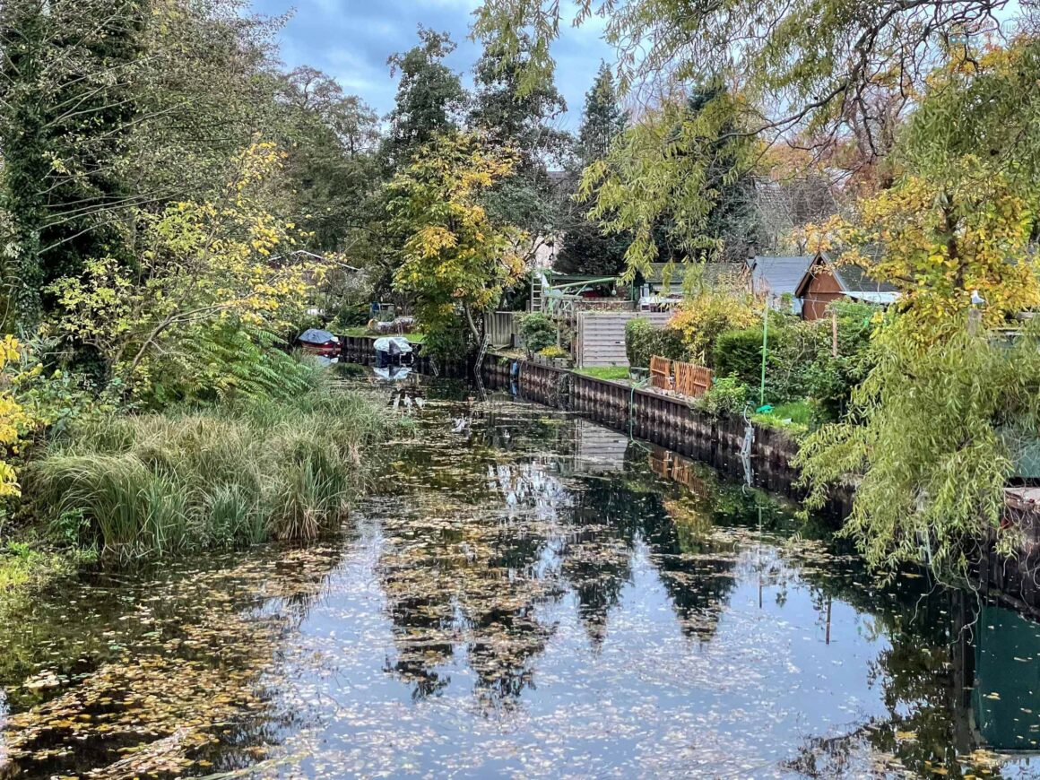 stroll through the neighborhood catching fall vibes canal