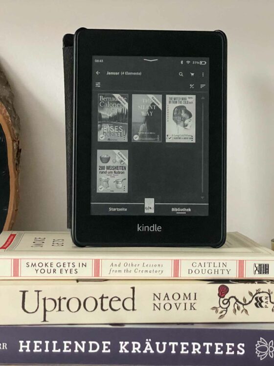 Talking About January's Books seeing a stack of books on top a kindle left a decoration piece with a deer head and right some golden candles