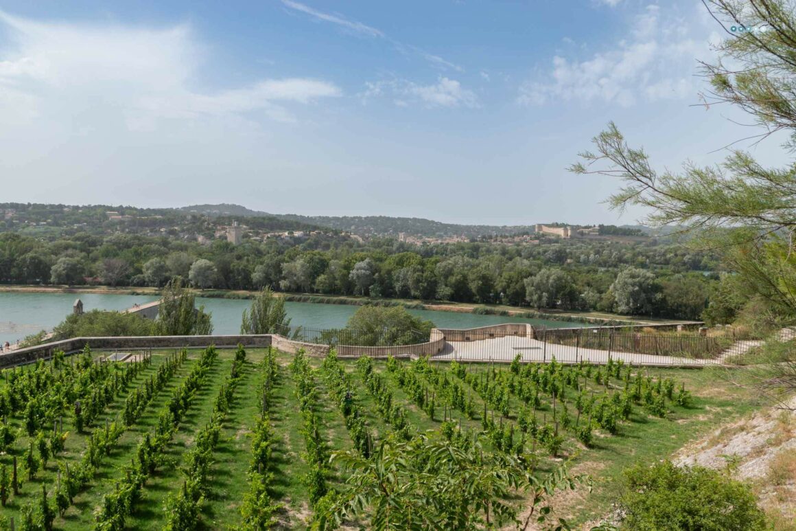 river cruise southern france uniworld_avignon bridge