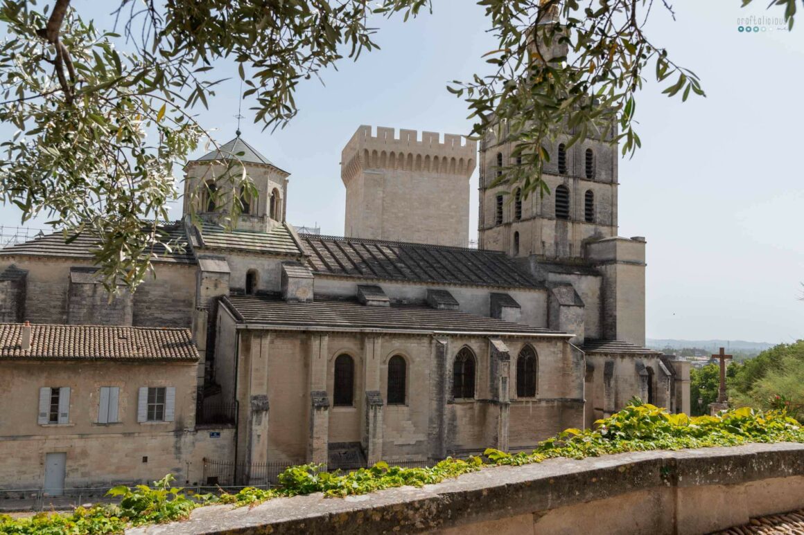 river cruise southern france uniworld_avignon cathedral1
