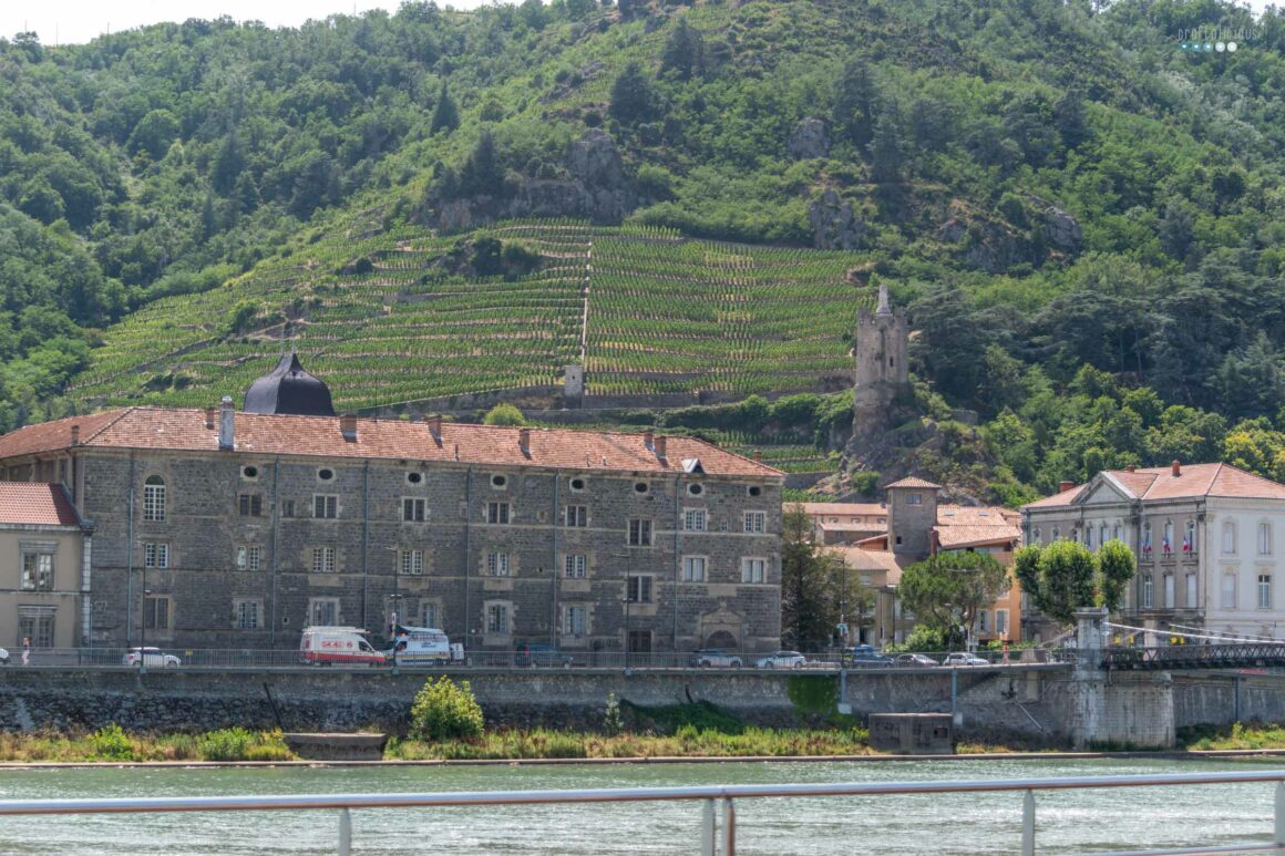 river cruise southern france uniworld_vinyards