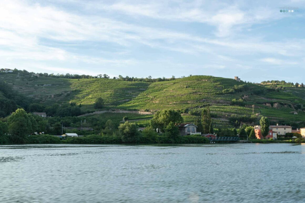 river cruise southern france uniworld_vinyards1