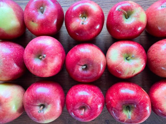 fruity fruit top 5 bottom 5