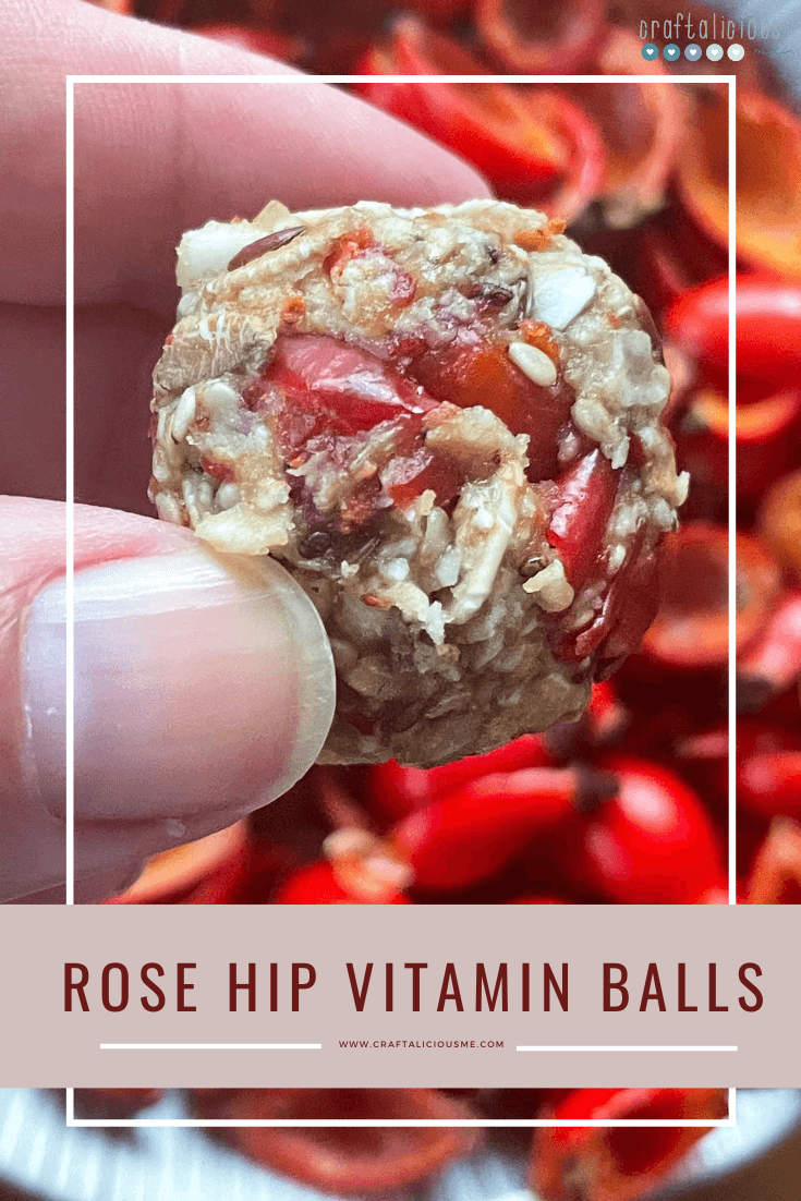 Rose Hip Vitamin Balls in Hand