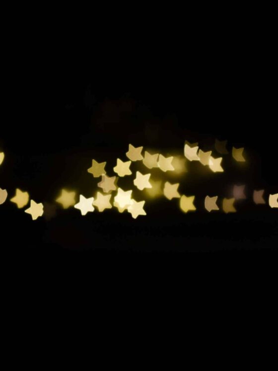 in a parallel univers i would like to be