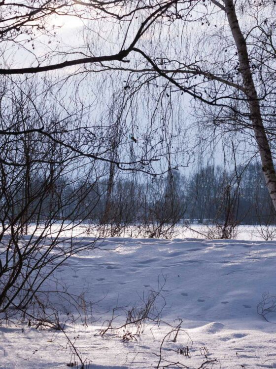 top three month winter