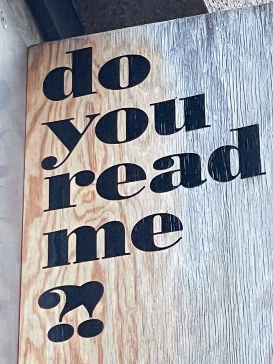 do you read me reading goal 2024